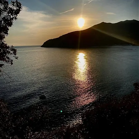 بيت للعطل Il Nido Sul Mare Con Accesso Diretto *
