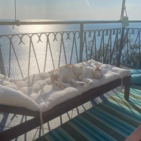 Il Nido Sul Mare Con Accesso Diretto 펜션 *