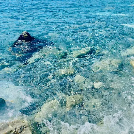 Il Nido Sul Mare Con Accesso Diretto * 모네글리아