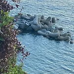 Il Nido Sul Mare Con Accesso Diretto *