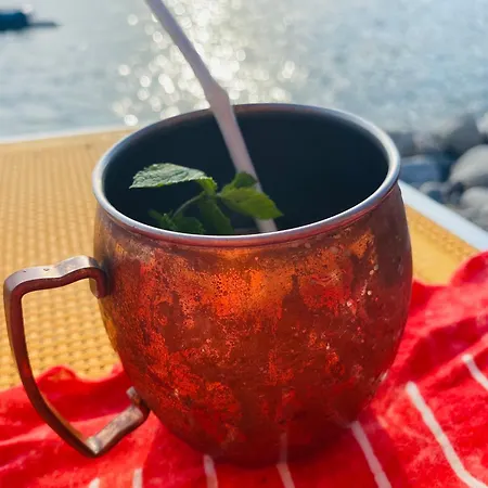 Il Nido Sul Mare Con Accesso Diretto Moneglia