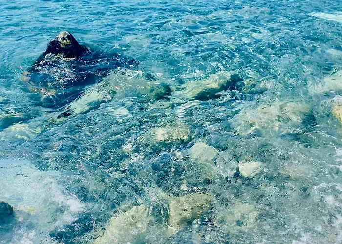 Il Nido Sul Mare Con Accesso Diretto * Moneglia